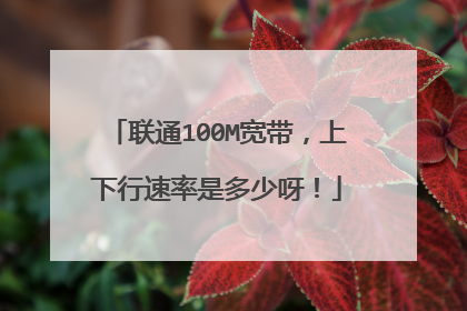 联通100M宽带，上下行速率是多少呀！