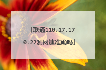 联通110.17.170.22测网速准确吗