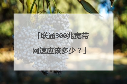 联通300兆宽带网速应该多少？