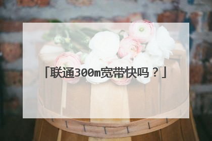 联通300m宽带快吗？