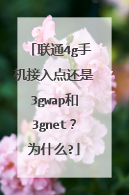 联通4g手机接入点还是3gwap和3gnet?为什么?
