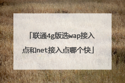 联通4g版选wap接入点和net接入点哪个快