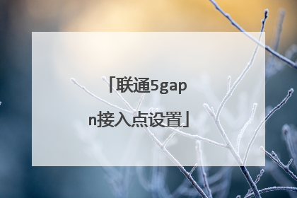 联通5gapn接入点设置