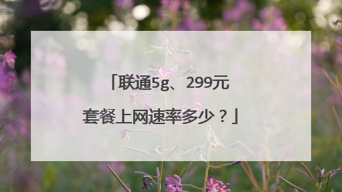 联通5g、299元套餐上网速率多少?