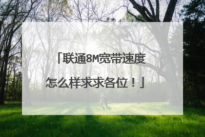 联通8M宽带速度怎么样求求各位！