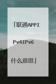 联通APPIPv4IPv6什么意思