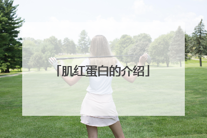 肌红蛋白的介绍