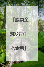股票全网发行什么意思
