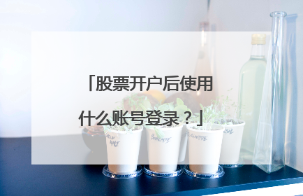 股票开户后使用什么账号登录?