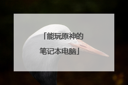 能玩原神的笔记本电脑