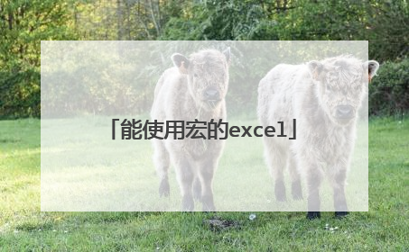 能使用宏的excel
