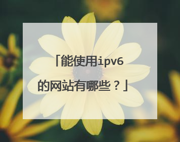 能使用ipv6的网站有哪些?