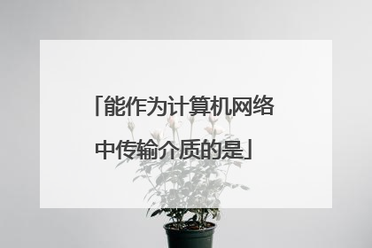 能作为计算机网络中传输介质的是