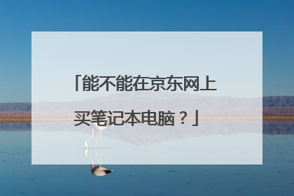 能不能在京东网上买笔记本电脑?