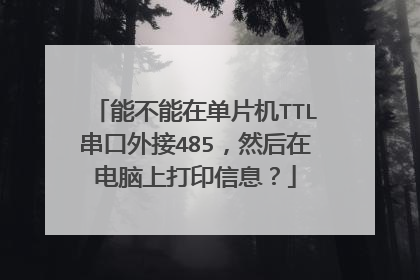 能不能在单片机TTL串口外接485,然后在电脑上打印信息?