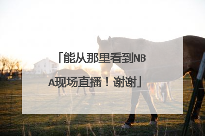能从那里看到NBA现场直播！谢谢