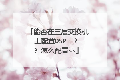 能否在三层交换机上配置OSPF ?? 怎么配置~~