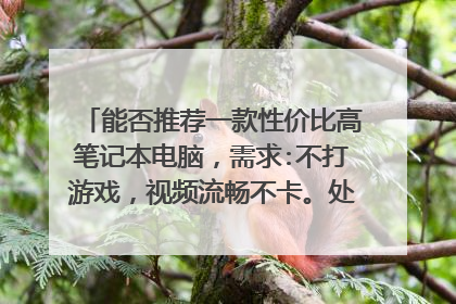 能否推荐一款性价比高笔记本电脑,需求:不打游戏,视频流畅不卡。处理OFFICE快。能达到这些就行了