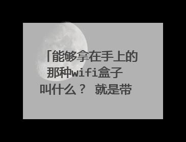 能够拿在手上的那种wifi盒子叫什么？ 就是带在身上的盒子 这样像就总不担心没有网络了