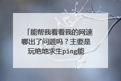 能帮我看看我的网速哪出了问题吗？主要是玩绝地求生ping能达到100左右，想降到50左右