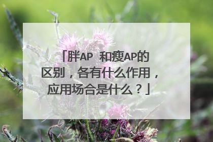 胖AP 和瘦AP的区别，各有什么作用，应用场合是什么？