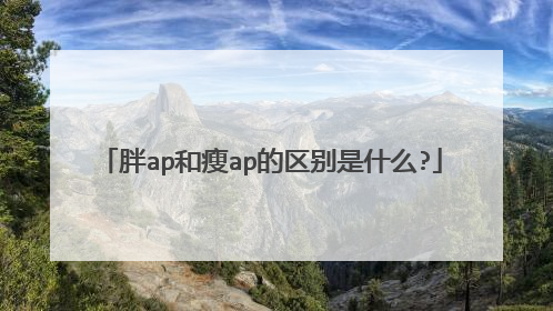 胖ap和瘦ap的区别是什么?