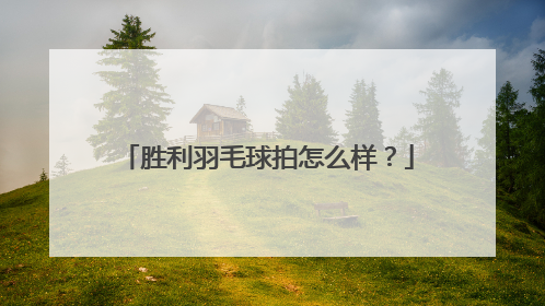 胜利羽毛球拍怎么样？