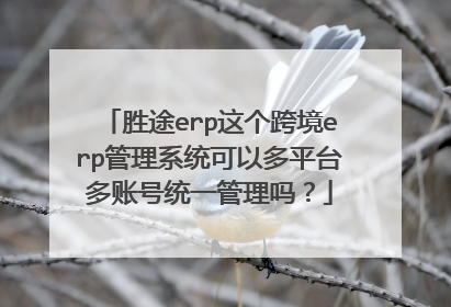 胜途erp这个跨境erp管理系统可以多平台多账号统一管理吗?