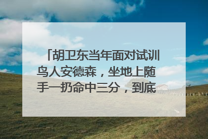 胡卫东当年面对试训鸟人安德森,坐地上随手一扔命中三分,到底是怎么回事?