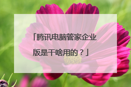腾讯电脑管家企业版是干啥用的?