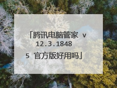 腾讯电脑管家 v12.3.18485 官方版好用吗