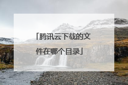 腾讯云下载的文件在哪个目录