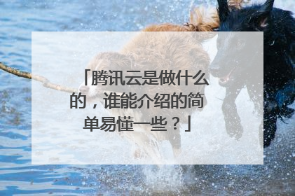 腾讯云是做什么的,谁能介绍的简单易懂一些?
