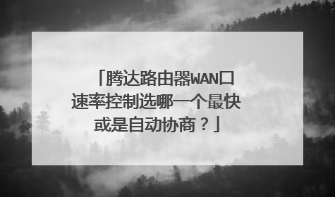腾达路由器WAN口速率控制选哪一个最快或是自动协商?