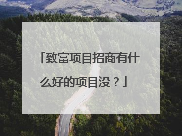 致富项目招商有什么好的项目没？