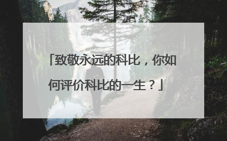 致敬永远的科比，你如何评价科比的一生？