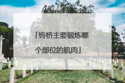 臀桥主要锻炼哪个部位的肌肉