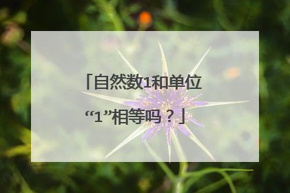 自然数1和单位“1”相等吗?