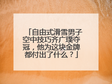 自由式滑雪男子空中技巧齐广璞夺冠,他为这块金牌都付出了什么?