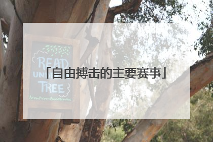 自由搏击的主要赛事