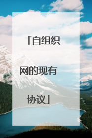 自组织网的现有协议