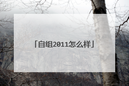 自组2011怎么样