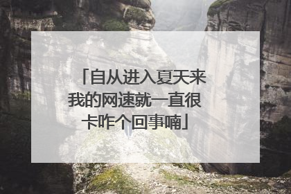 自从进入夏天来我的网速就一直很卡咋个回事喃