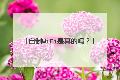 自制WiFi是真的吗?