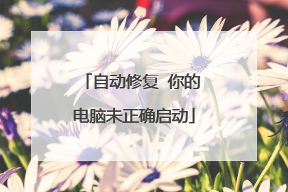 自动修复 你的电脑未正确启动