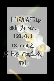 自动填写ip地址为192.168.0.118.cnd之后上不了网怎么办
