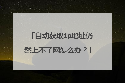 自动获取ip地址仍然上不了网怎么办？