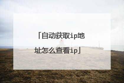 自动获取ip地址怎么查看ip