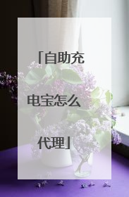 自助充电宝怎么代理