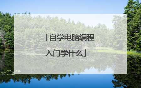自学电脑编程入门学什么